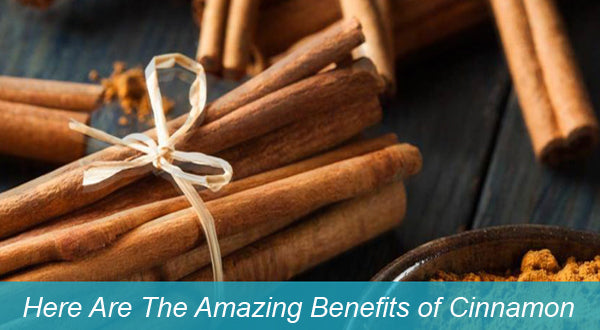 What is Cinnamon Good For?