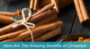 What is Cinnamon Good For?